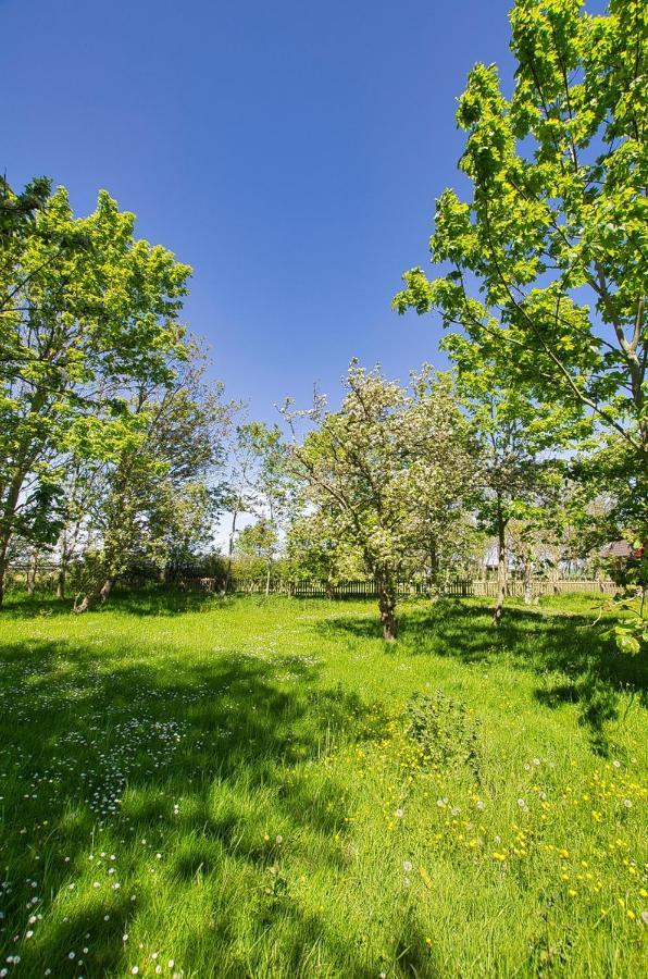 Apartment Auf Dem Lande / Nahe Spo Tumlauer Koog
